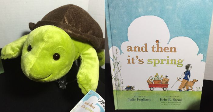 Kohls Turtle and Book